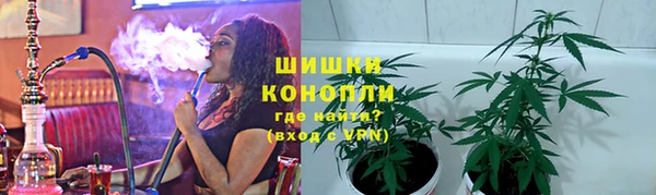 прущие грибы Беломорск