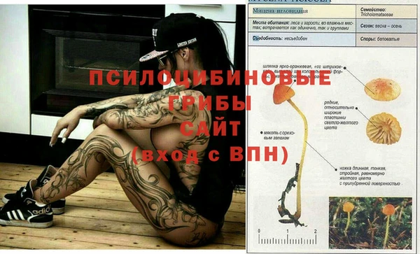 скорость mdpv Киреевск