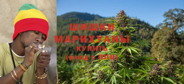 крисы Кинешма