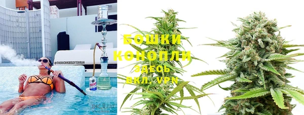 mix Белокуриха