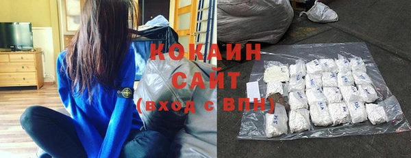 прущие грибы Беломорск