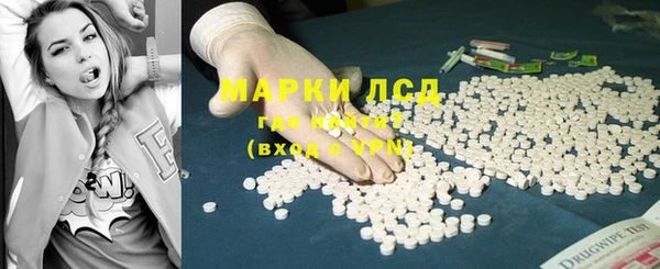 прущие грибы Беломорск