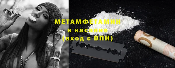 прущие грибы Беломорск