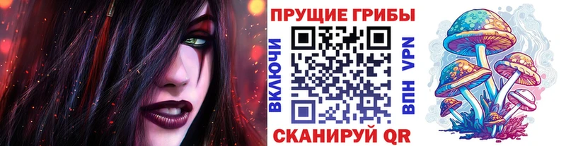 Галлюциногенные грибы прущие грибы Армавир