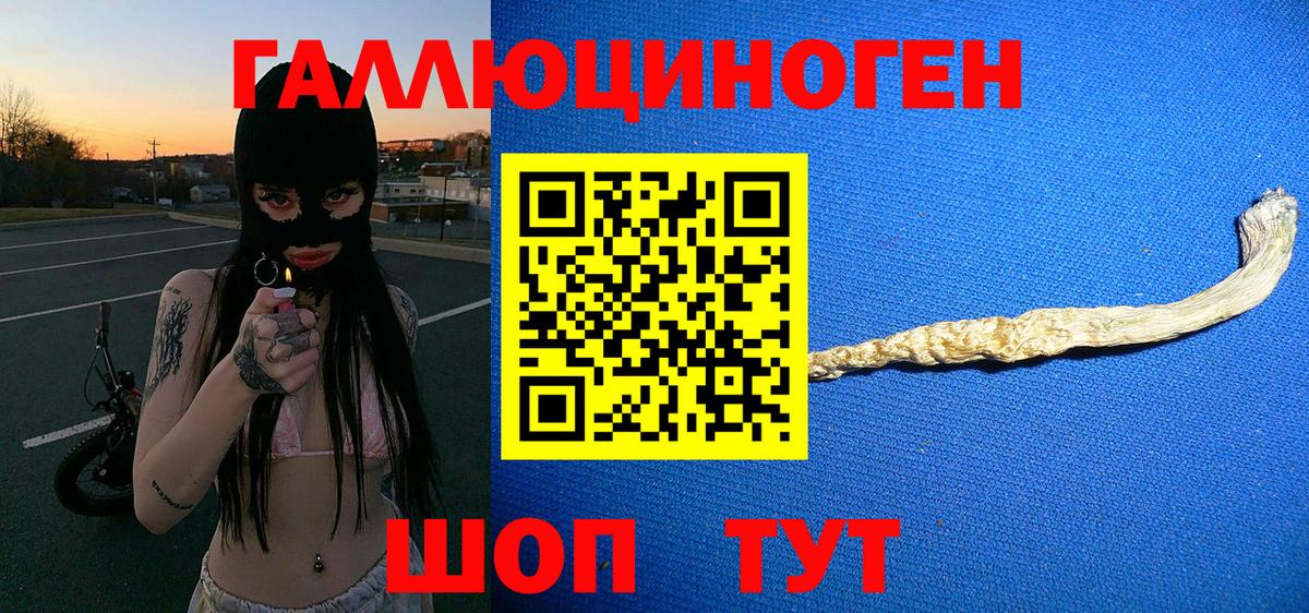 Галлюциногенные грибы прущие грибы Армавир