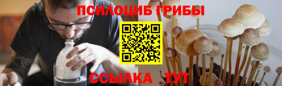 Псилоцибиновые грибы Psilocybine cubensis  Вход с VPN  Галлюциногенные грибы MAGIC MUSHROOMS  Армавир 